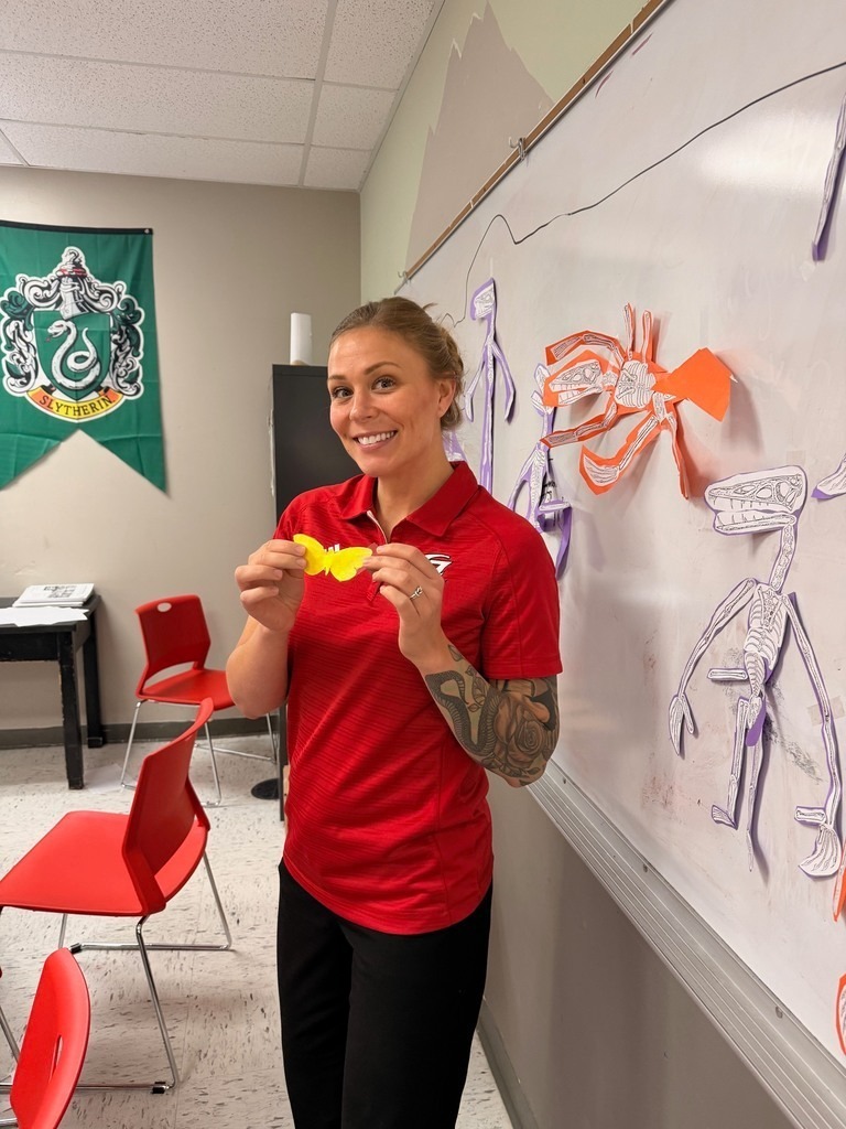 camoflouaged butterflies 