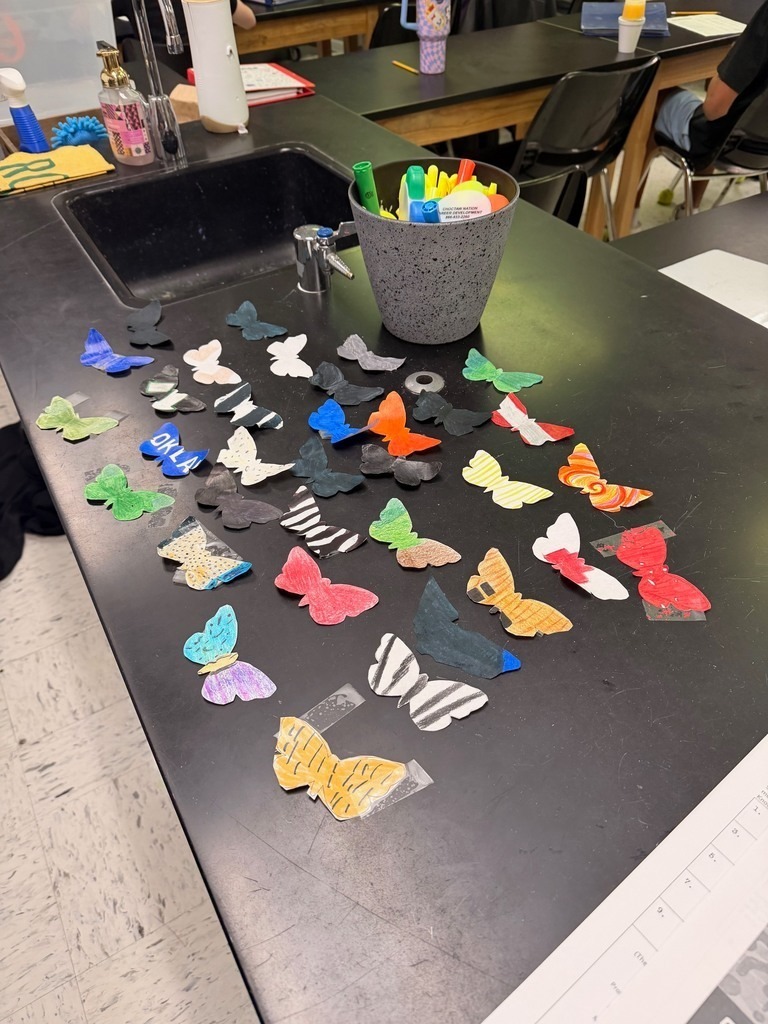 camoflouaged butterflies 