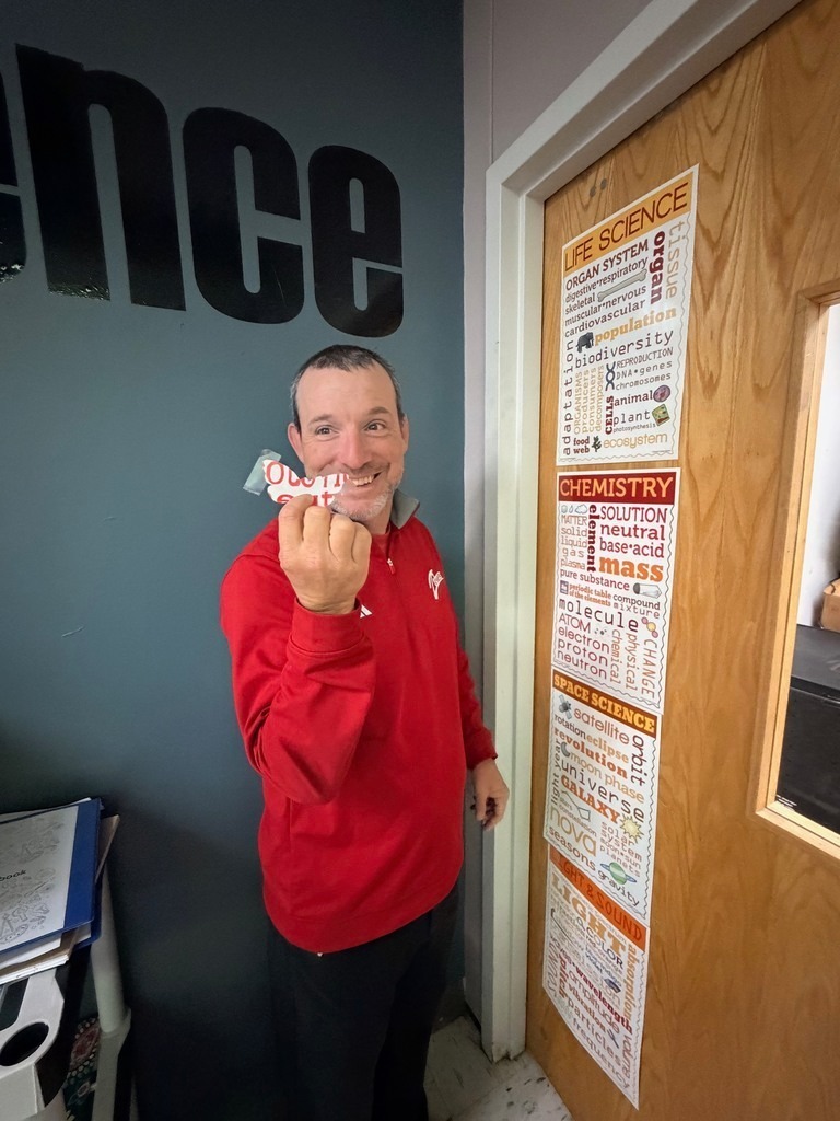 camoflouaged butterflies 