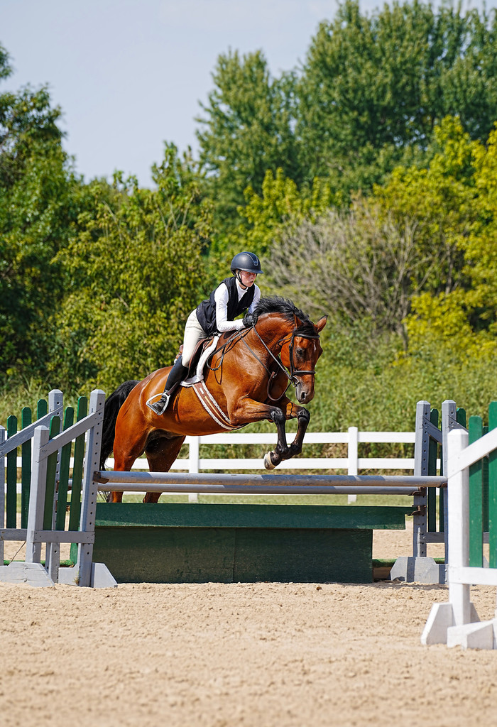 Ellyanna, a freshman, and her partner, Peregrine (also known as "Pip"), completed a sensational two-week run at the Brownland Horse Show. The pair dominated the competition, securing the Champion title in the Large Junior Hunter Division during the first week and earning Reserve Champion the following week.  Their success extended beyond the division ribbons, with Ellyanna and Pip excelling in major classes:  🏅 2nd Place – THIS Children’s Medal 🏅 3rd Place – Hamel Medal 🏅 3rd Place – Junior Hunter Classic (highly competitive)  We love highlighting the amazing things our students do—congratulations to Ellyanna on a truly memorable performance!