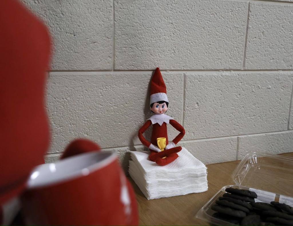 elf and zebras drinking