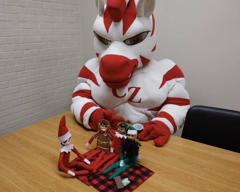 Zebs and friends at a picnic