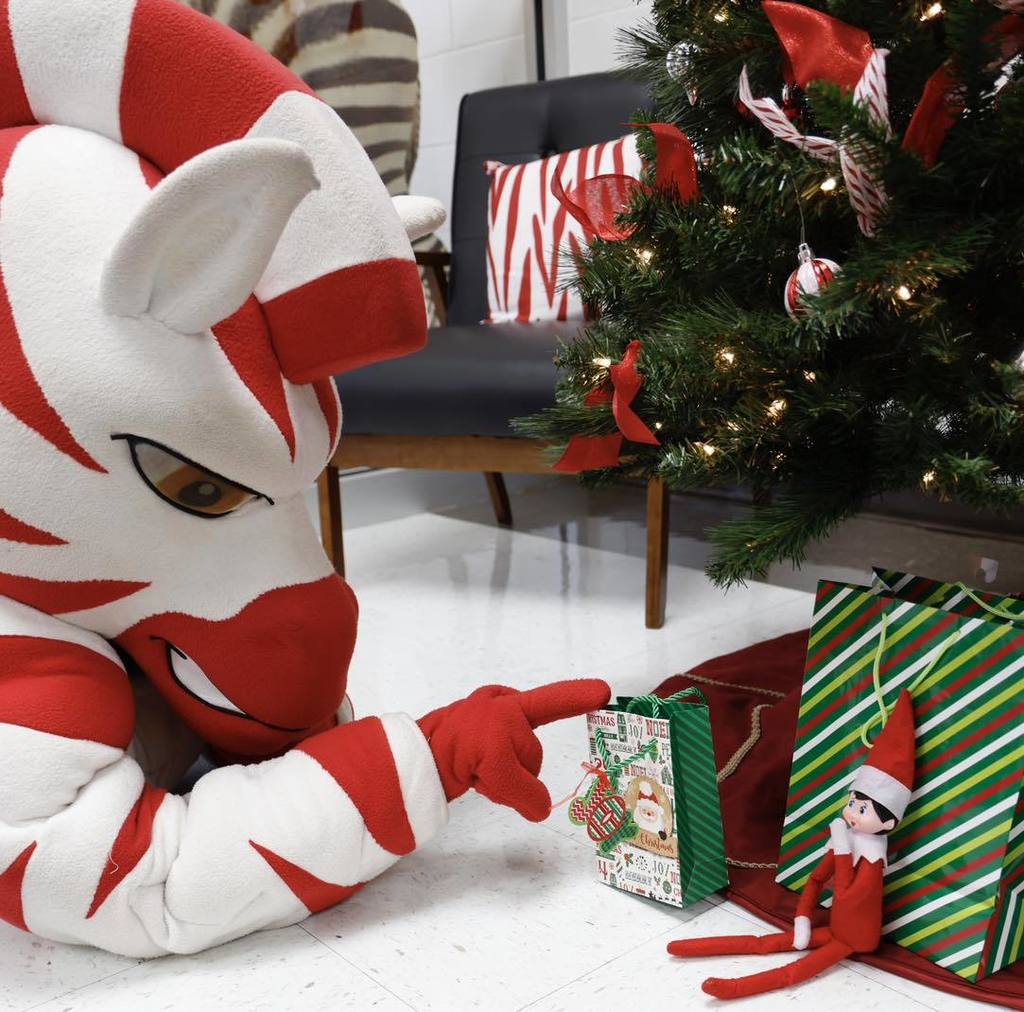 zebs touching gift bag