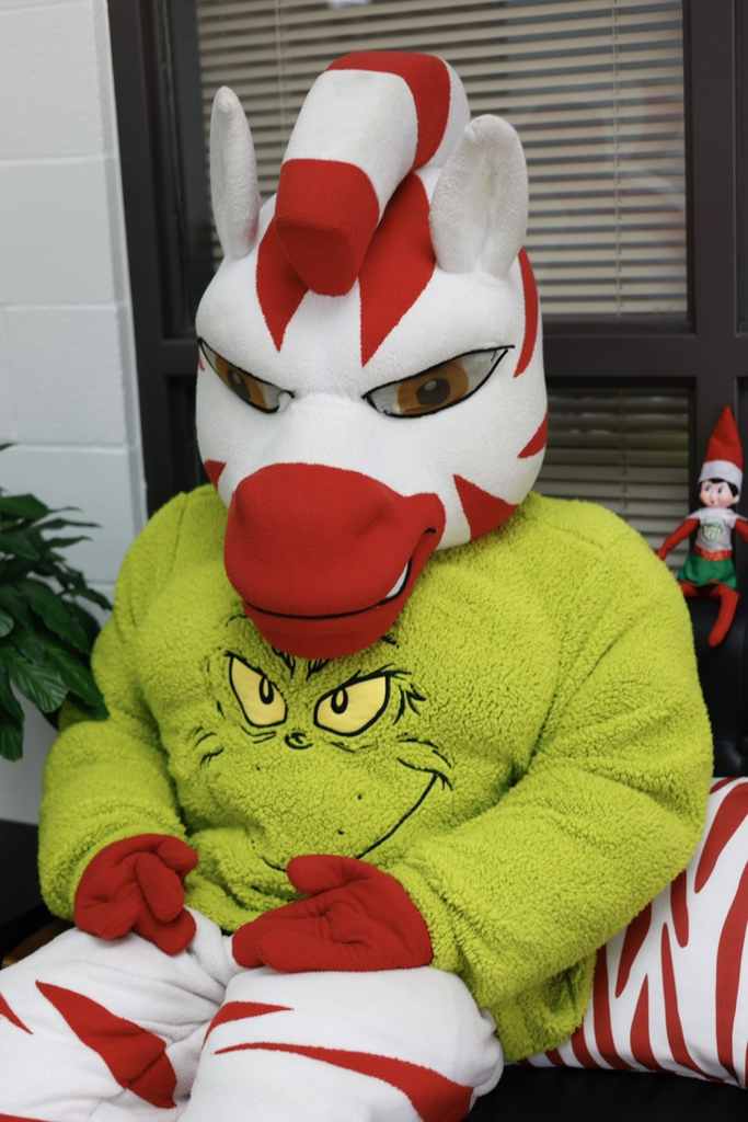 Zebs wearing a grinch sweatshirt 