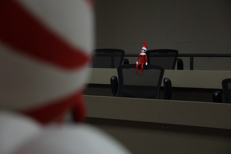 Dazzle looking at Zebs giving presentation 