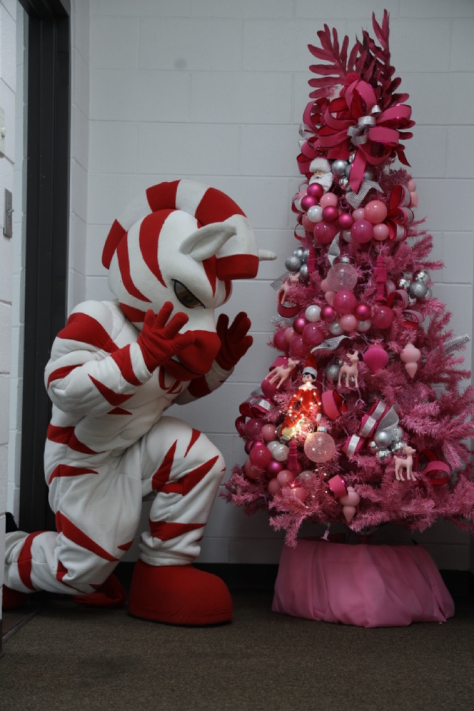 Zebs panicking at Dazzle being tied up 