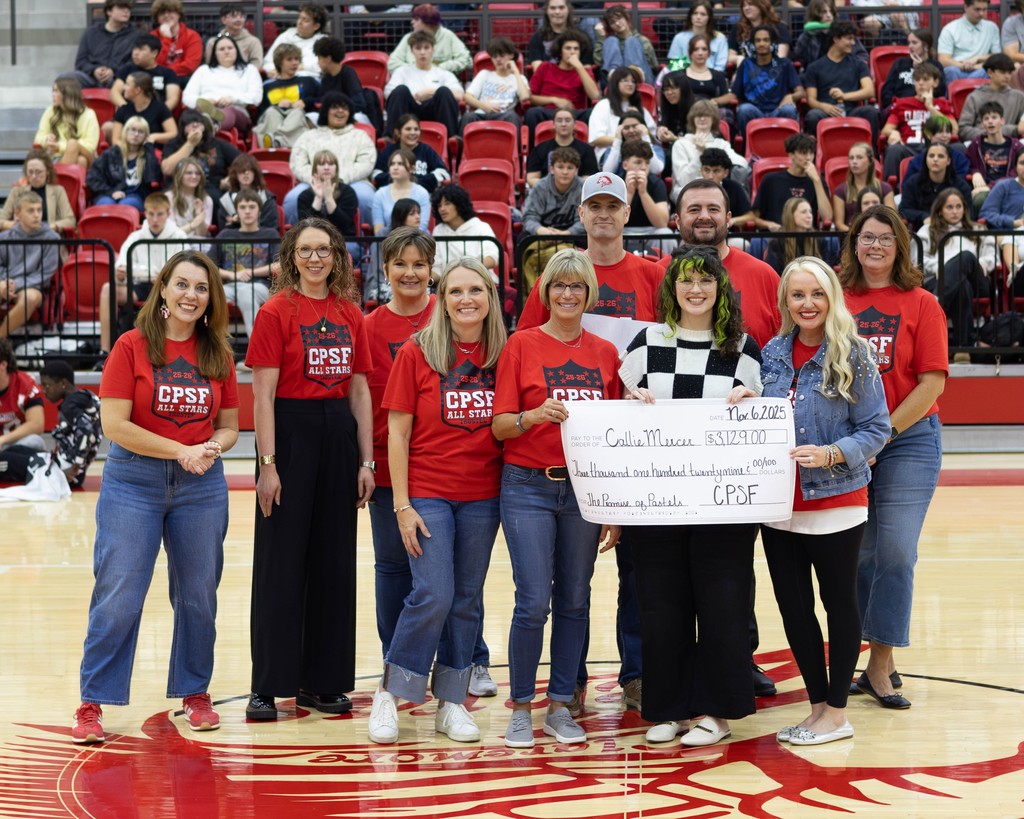 cpsf grant to arts department over 3,000 dollars