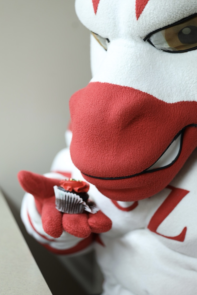 zebs eating a cupcake