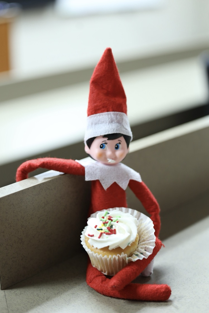 dazzle eating a cupcake