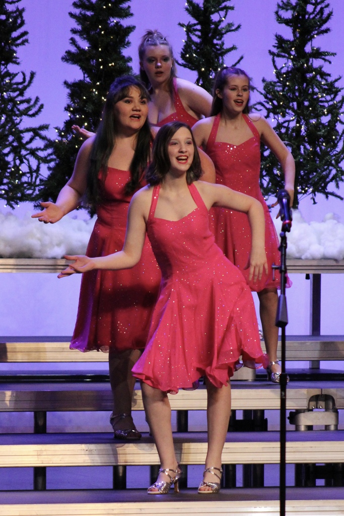 Sound Express Show Choir at the Winter Concert
