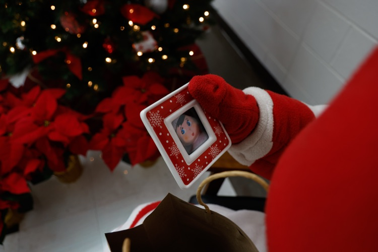 zebs gift from dazzle is a picture frame