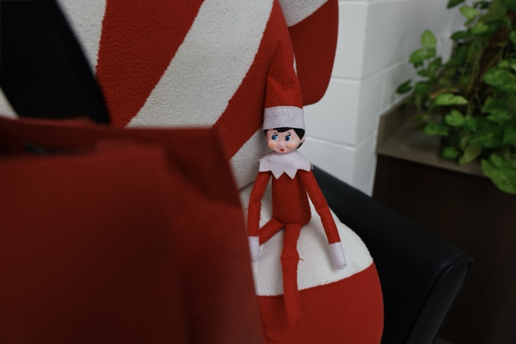 dazzle and her gift before its opened