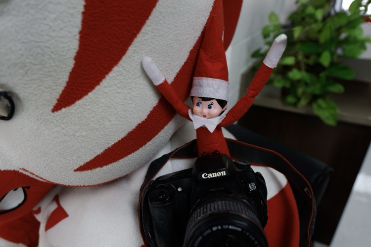 dazzle cheering for her gift being a camera