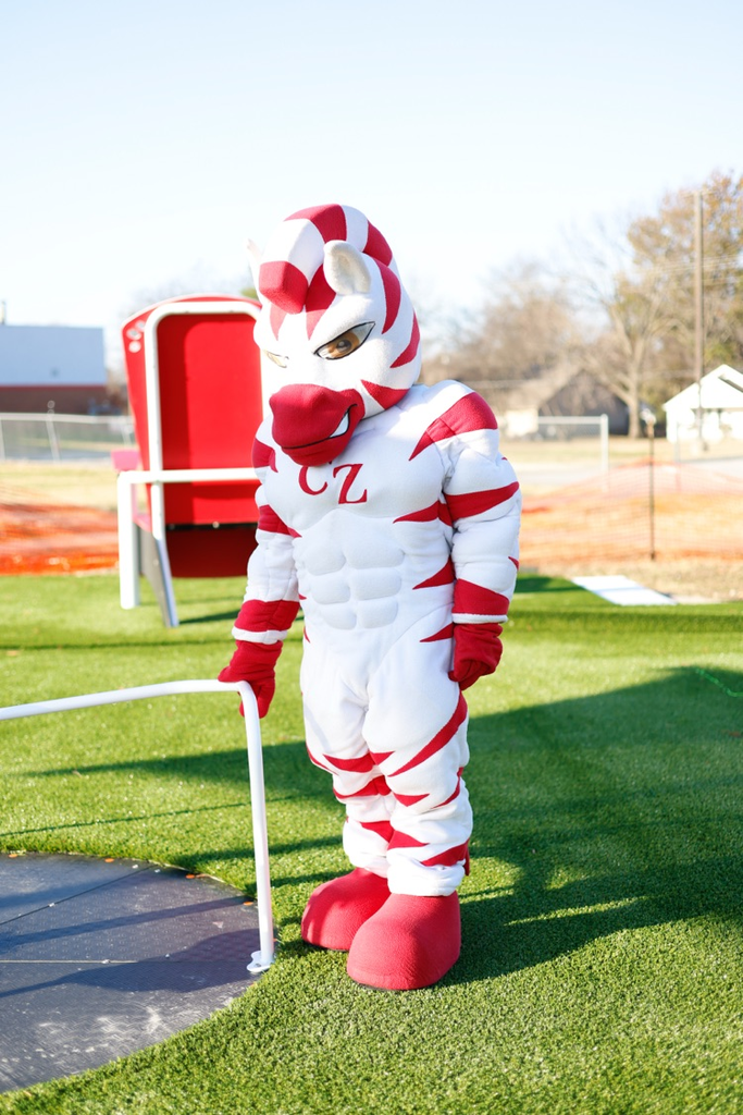 zebs pushing the merry go round