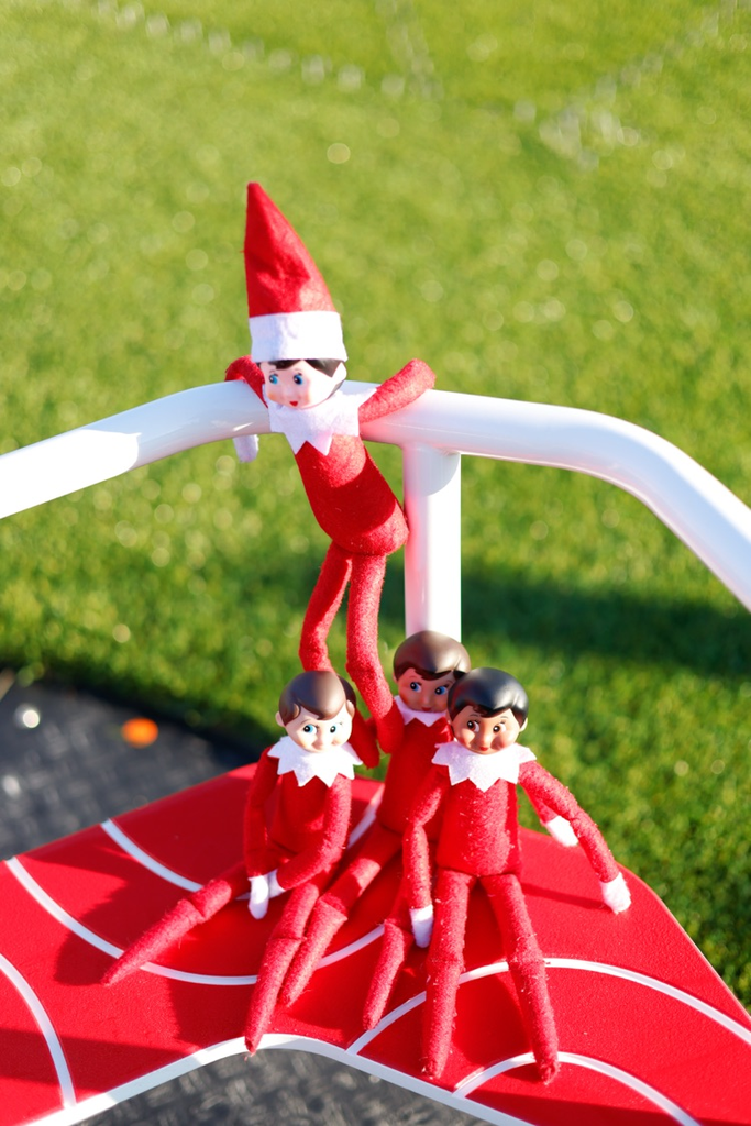 dazzle and the elf’s on the merry go round