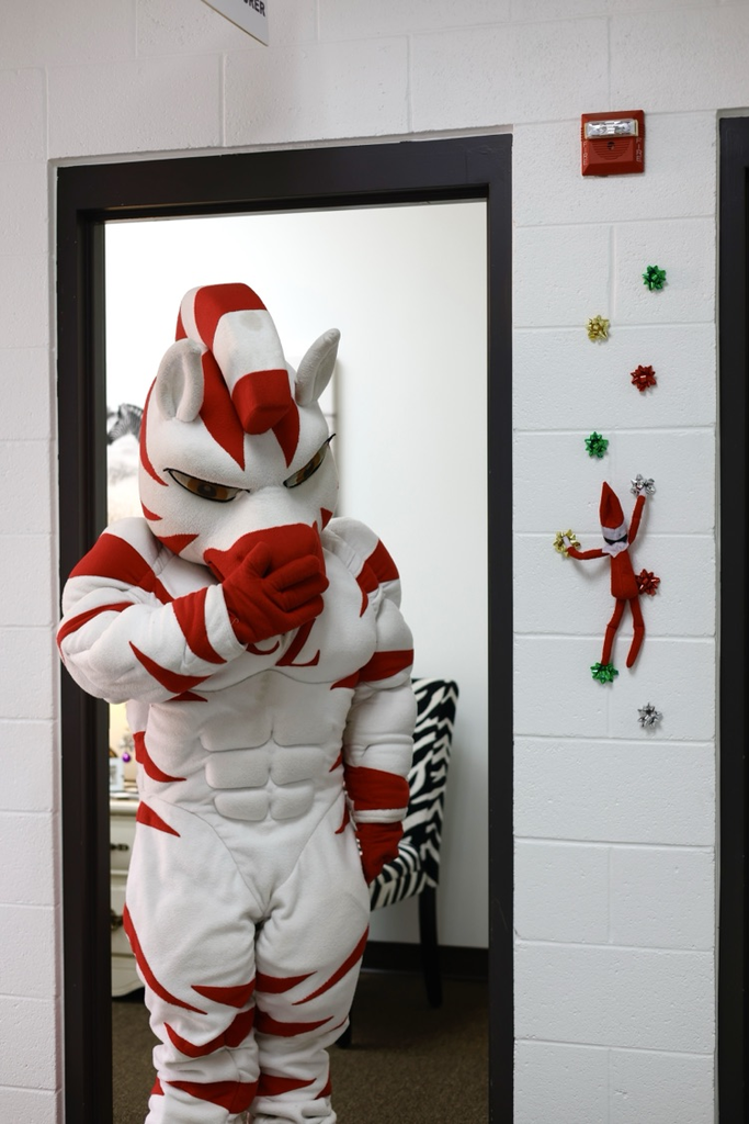 zebs watching dazzle climb 