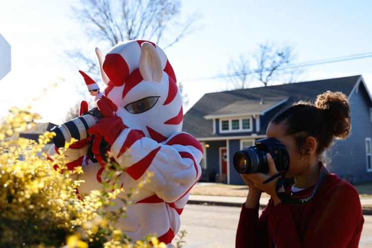 zebs, dazzle, and an intern taking photos of nature 