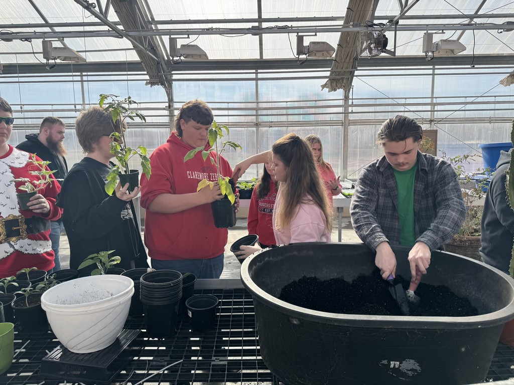 π± Plant and Soil Science class is prepped and ready for the spring semester! Last semester, students took on the greenhouse challengeβlearning how to grow their own plants from seeds in preparation for the upcoming spring plant sale season. Hereβs a sneak peek at some of the seedlings theyβll nurture and watch grow. Exciting things ahead!