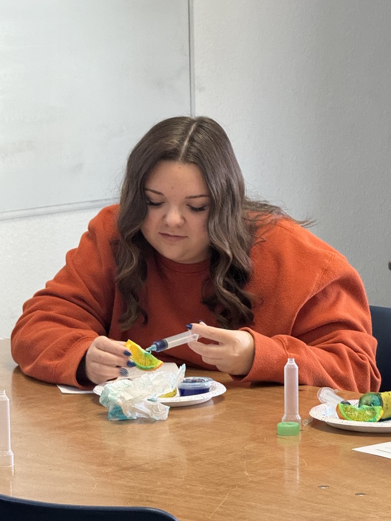 Animal Science students wrapped up their Vaccination and Injections unit with hands-on experience exploring different injection sites and administration methods. They practiced essential safety procedures like proper syringe handling and accurate dosage drawing from medication bottles. This lab provided a real-world look at industry standards and highlighted the importance of precision and safety in animal health care.