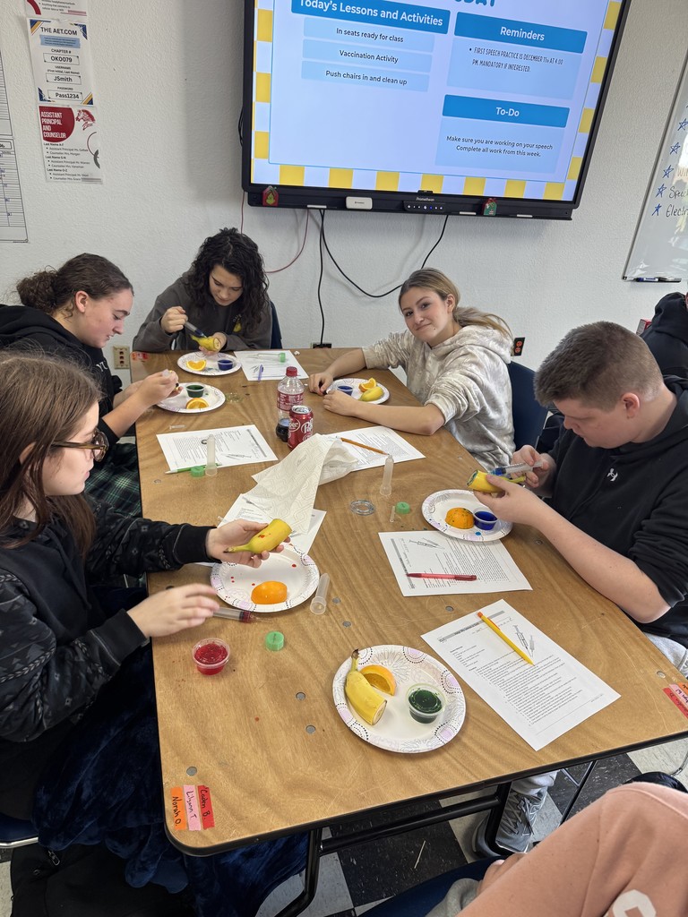 Animal Science students wrapped up their Vaccination and Injections unit with hands-on experience exploring different injection sites and administration methods. They practiced essential safety procedures like proper syringe handling and accurate dosage drawing from medication bottles. This lab provided a real-world look at industry standards and highlighted the importance of precision and safety in animal health care.