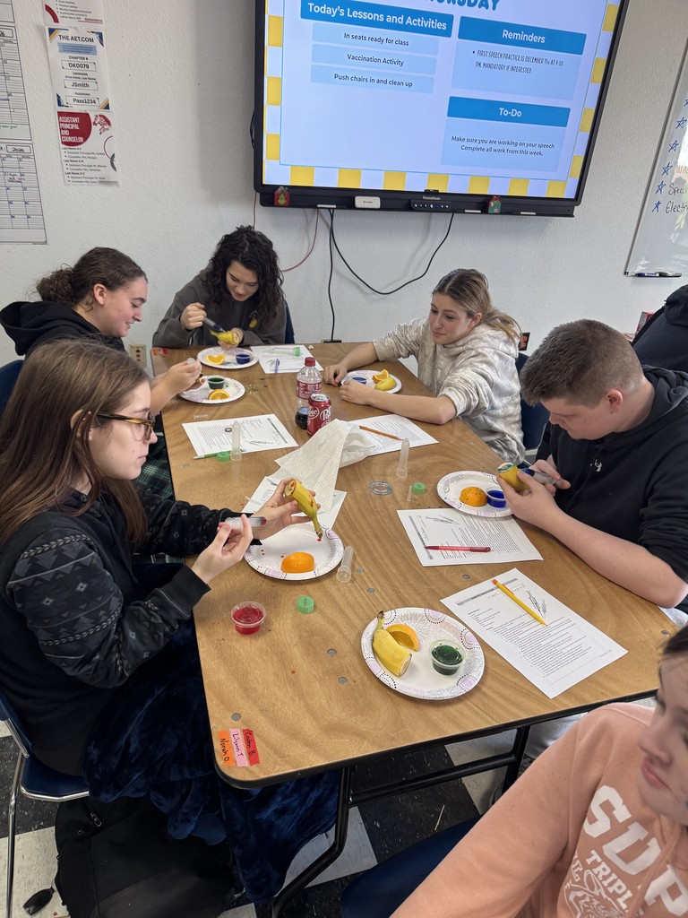 Animal Science students wrapped up their Vaccination and Injections unit with hands-on experience exploring different injection sites and administration methods. They practiced essential safety procedures like proper syringe handling and accurate dosage drawing from medication bottles. This lab provided a real-world look at industry standards and highlighted the importance of precision and safety in animal health care.