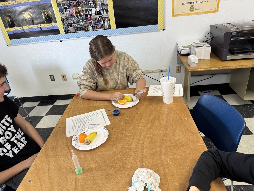 Animal Science students wrapped up their Vaccination and Injections unit with hands-on experience exploring different injection sites and administration methods. They practiced essential safety procedures like proper syringe handling and accurate dosage drawing from medication bottles. This lab provided a real-world look at industry standards and highlighted the importance of precision and safety in animal health care.