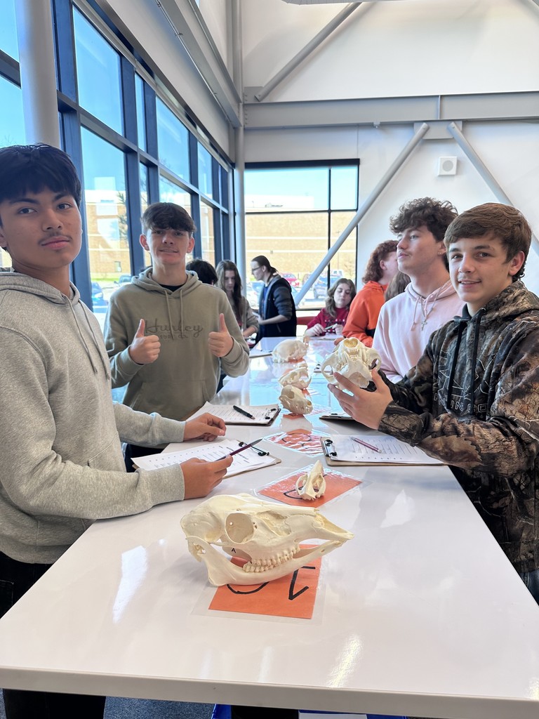 When the Markers Space turns into a mini museum of Oklahomaβs mammals, we get a little excited! Ms.Golbekβs Zoology class is getting up close with some of our stateβs native mammalsβstudying skulls, pelts, and adaptations that tell each speciesβ story. Special thanks Mr. Gibbs and Rogerβs State University for working in tandem to provide our students hands on learning opportunities!