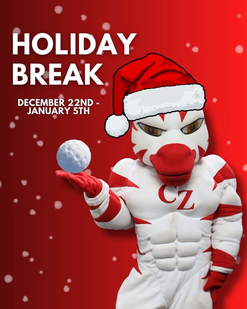 zebra mascot holding a snowball