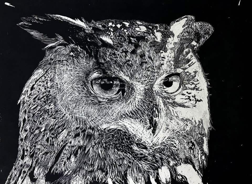 Our studio art students are showing off their incredible talent through stunning scratch art pieces! Each work reflects patience, precision, and creativity as students transform simple surfaces into detailed, high-contrast masterpieces. We are so proud of the hard work and artistic vision on display—well done to our amazing artists!