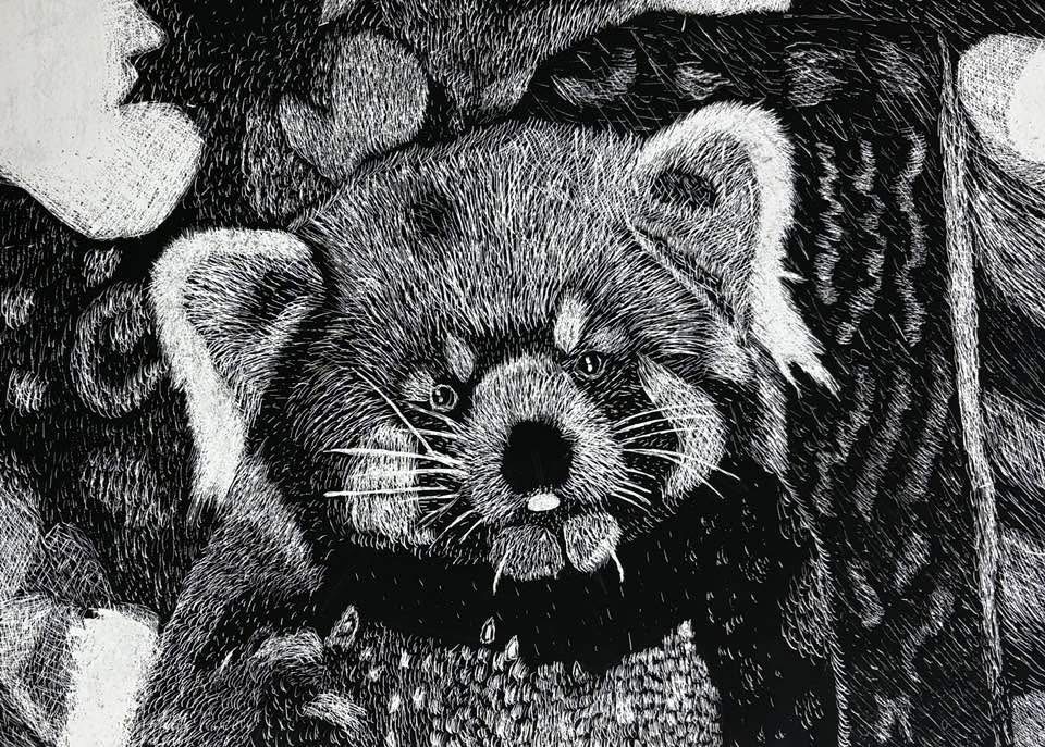 Our studio art students are showing off their incredible talent through stunning scratch art pieces! Each work reflects patience, precision, and creativity as students transform simple surfaces into detailed, high-contrast masterpieces. We are so proud of the hard work and artistic vision on display—well done to our amazing artists!