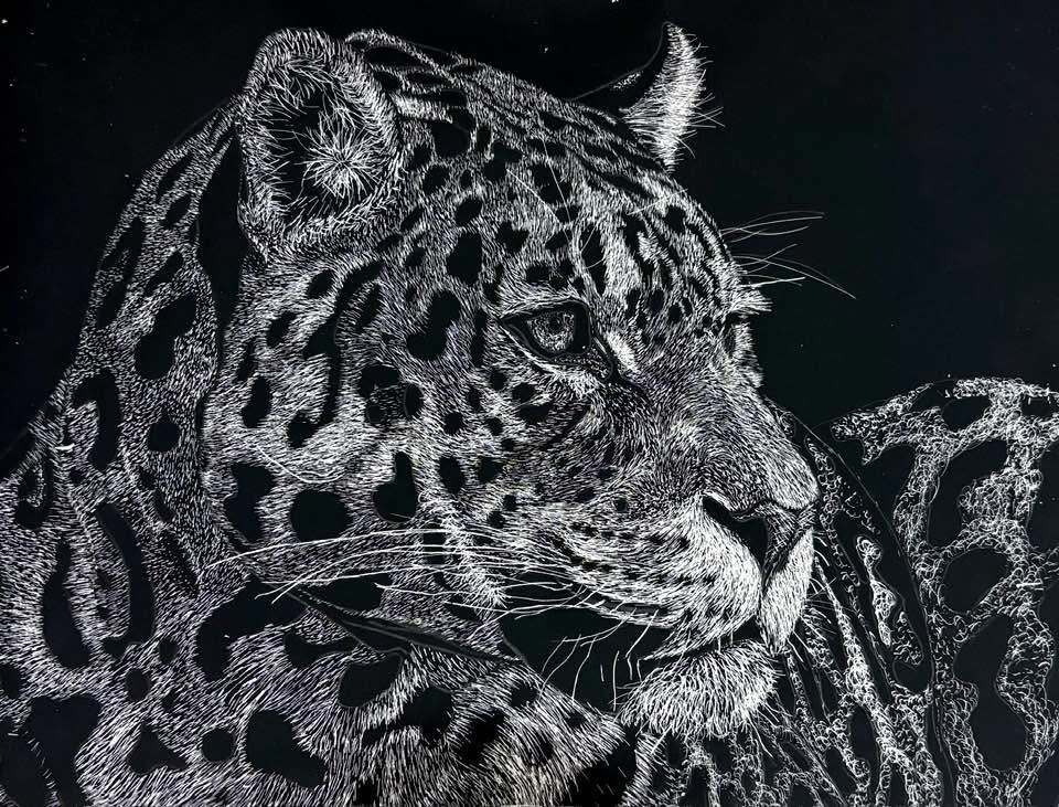 Our studio art students are showing off their incredible talent through stunning scratch art pieces! Each work reflects patience, precision, and creativity as students transform simple surfaces into detailed, high-contrast masterpieces. We are so proud of the hard work and artistic vision on display—well done to our amazing artists!