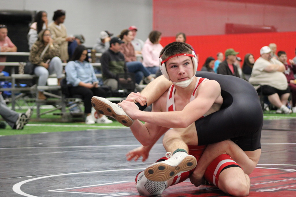 wrestling action shot