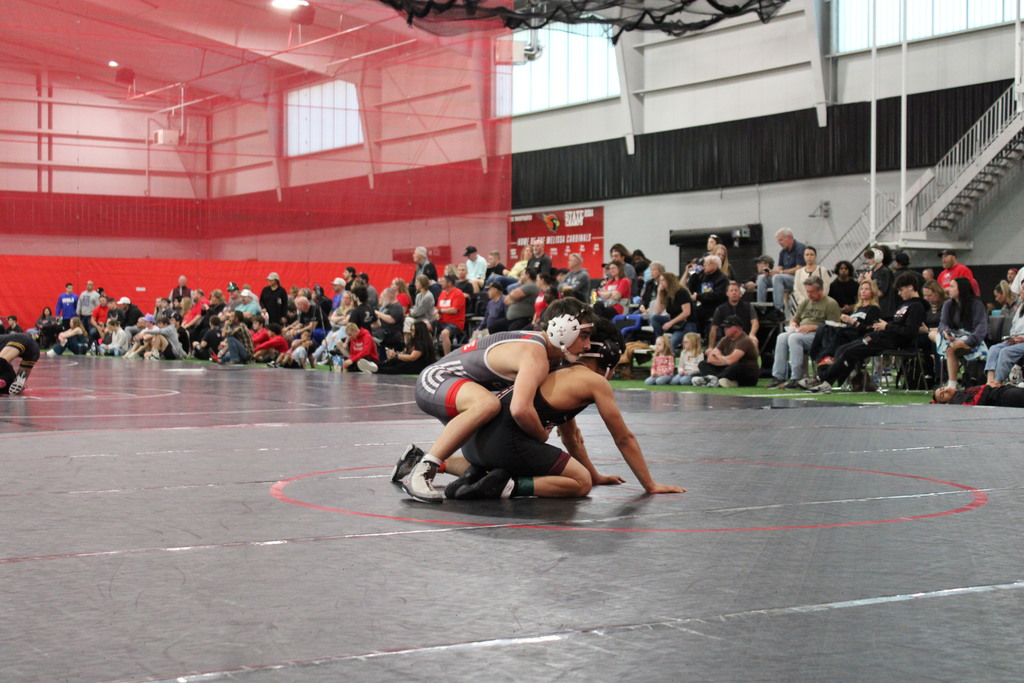 wrestling action shot