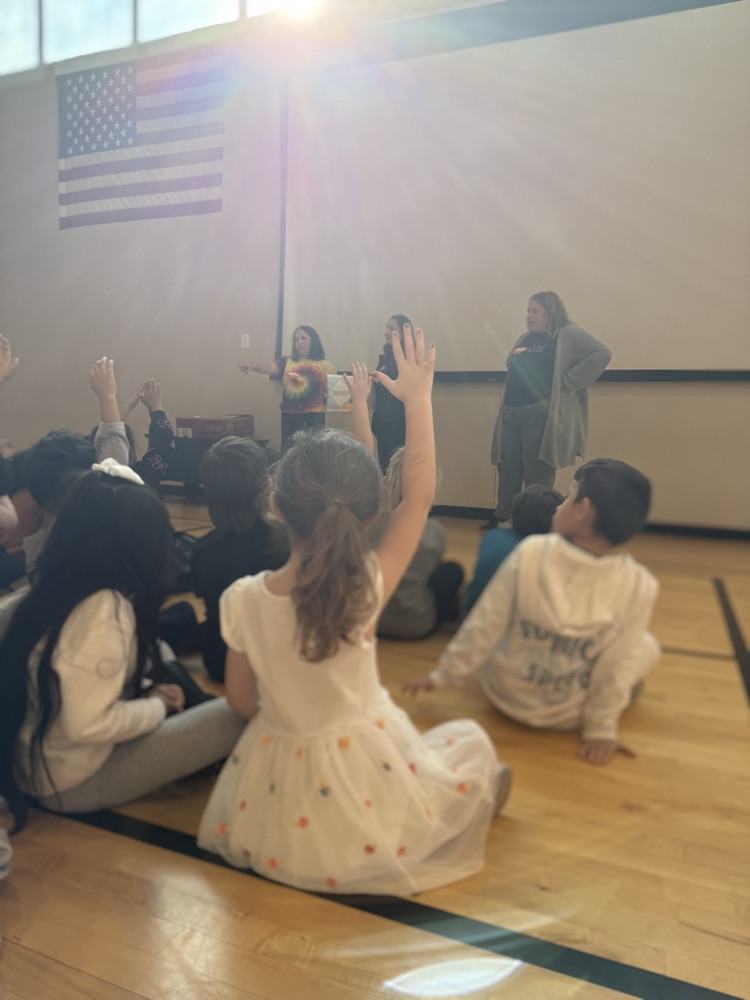 students raising hands