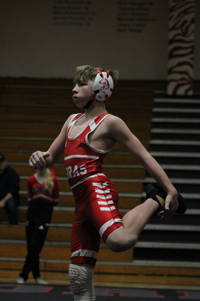 WRESTLING PICS