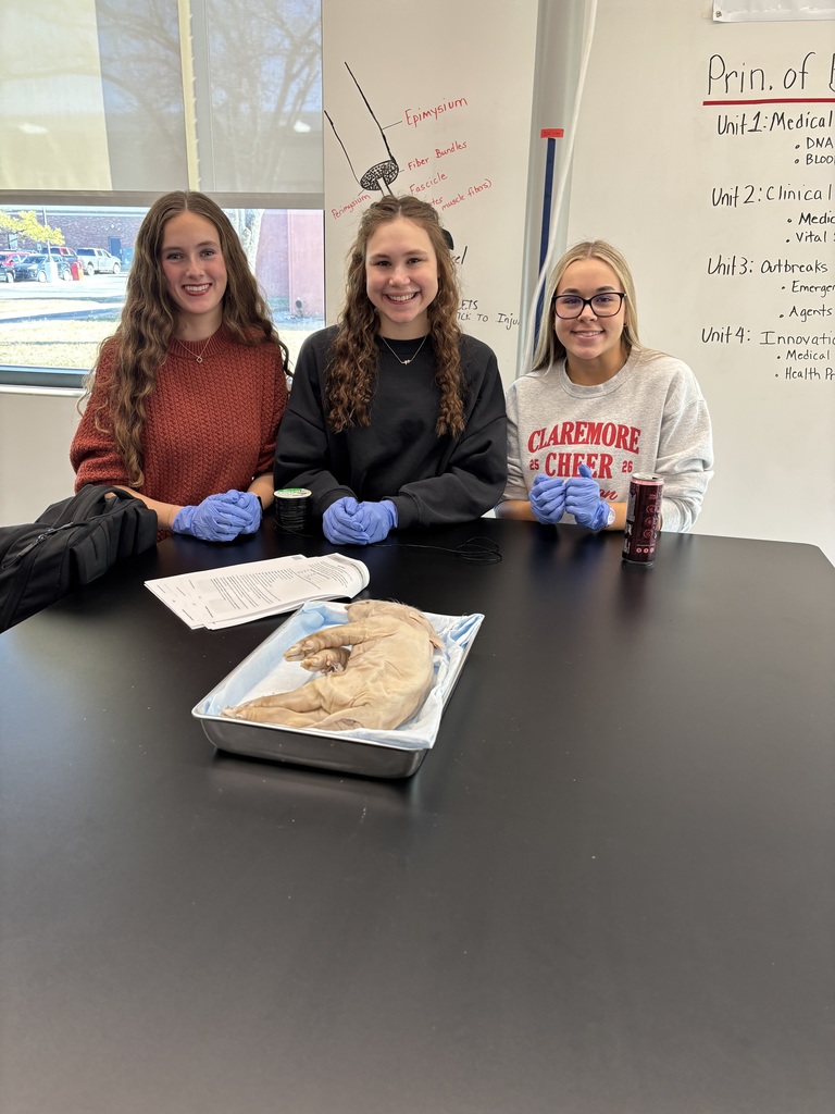 Biomedical Innovations students began an in-depth fetal pig dissection, applying their scientific knowledge to systematically explore anatomy from snout to tail.