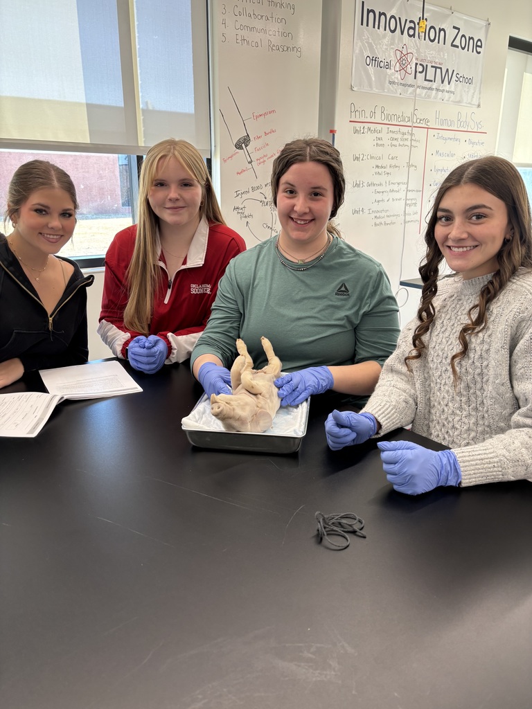 Biomedical Innovations students began an in-depth fetal pig dissection, applying their scientific knowledge to systematically explore anatomy from snout to tail.