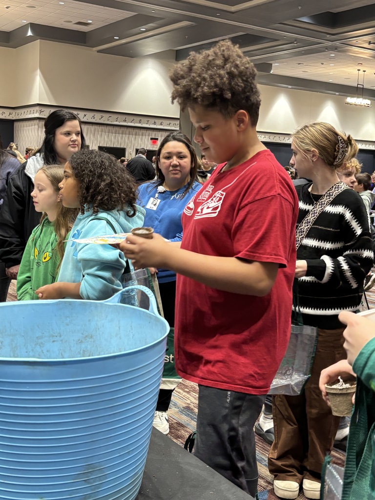 stemfest pics