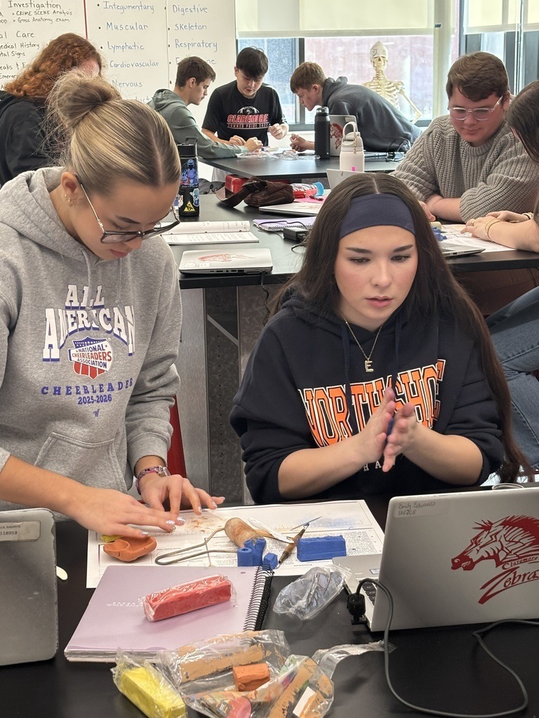 high school Biomedical Capstone students building anatomically correct, functioning heart models out of clay.