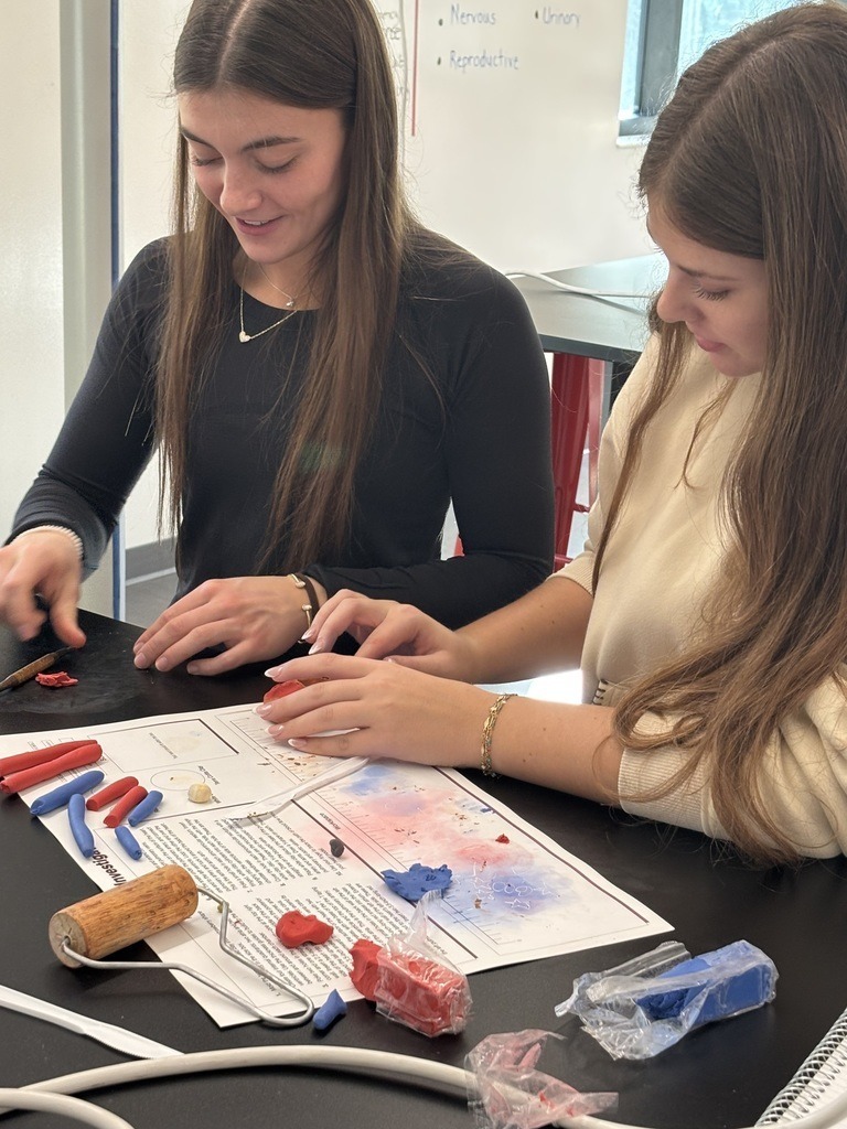 high school Biomedical Capstone students building anatomically correct, functioning heart models out of clay.