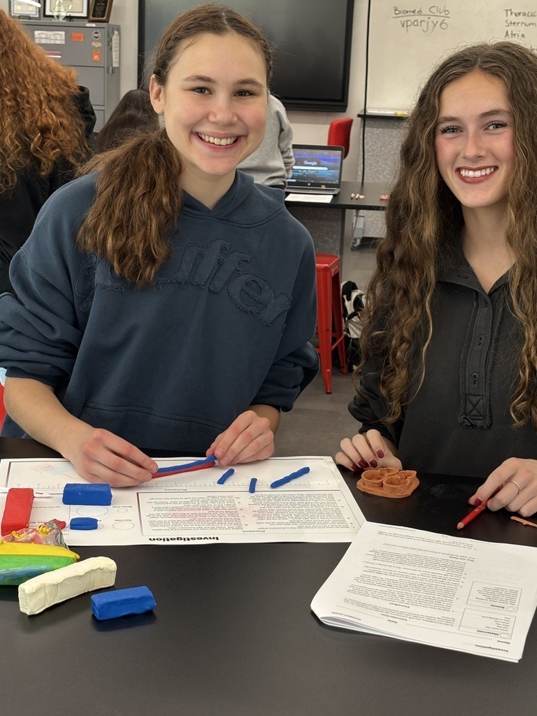 high school Biomedical Capstone students building anatomically correct, functioning heart models out of clay.