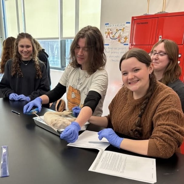 students dissecting a pig