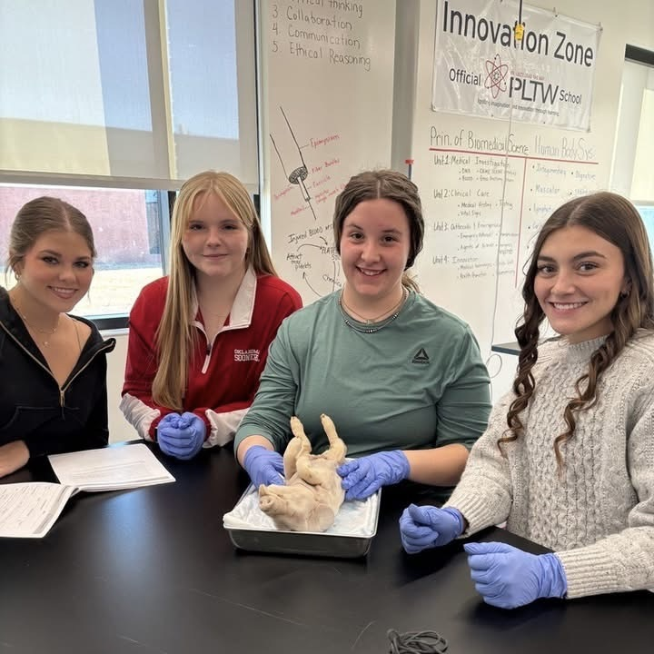 students dissecting a pig