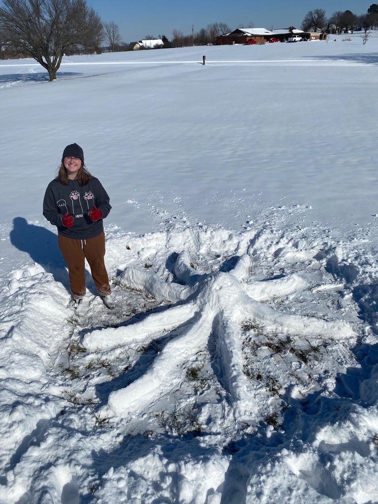 When Ms.Golbek’s zoologists get a snow day, creativity goes wild ❄️🐺 Trading snowmen for snow animals. Science never takes a day off!