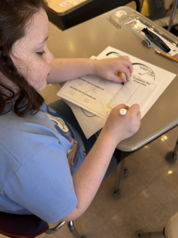 student graphing predictions 