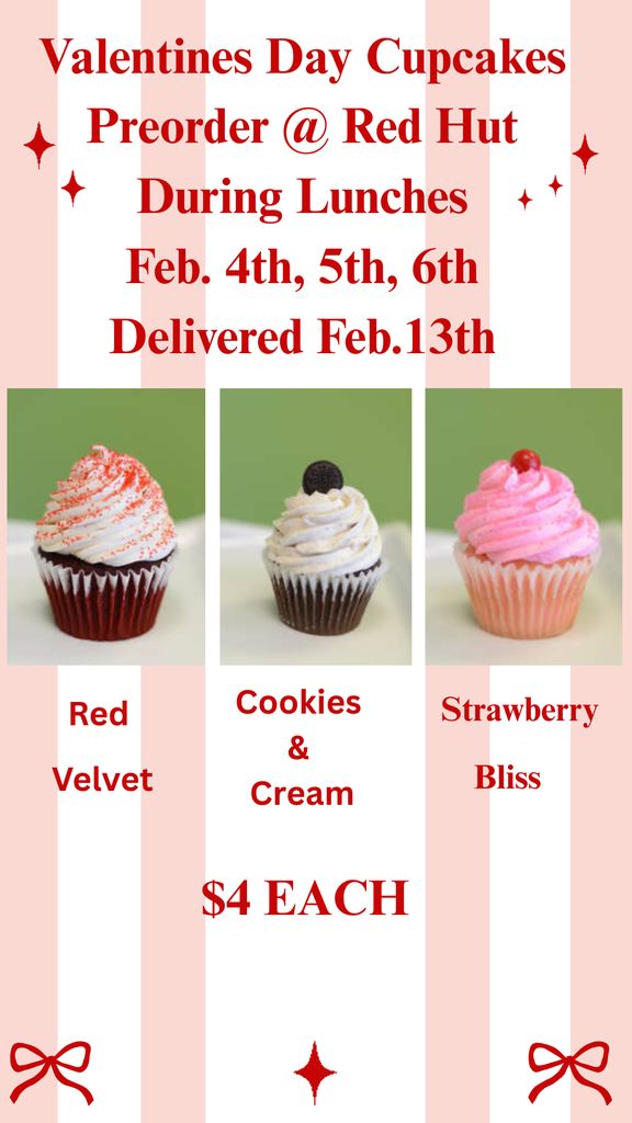 Valentines Day Cupcakes 