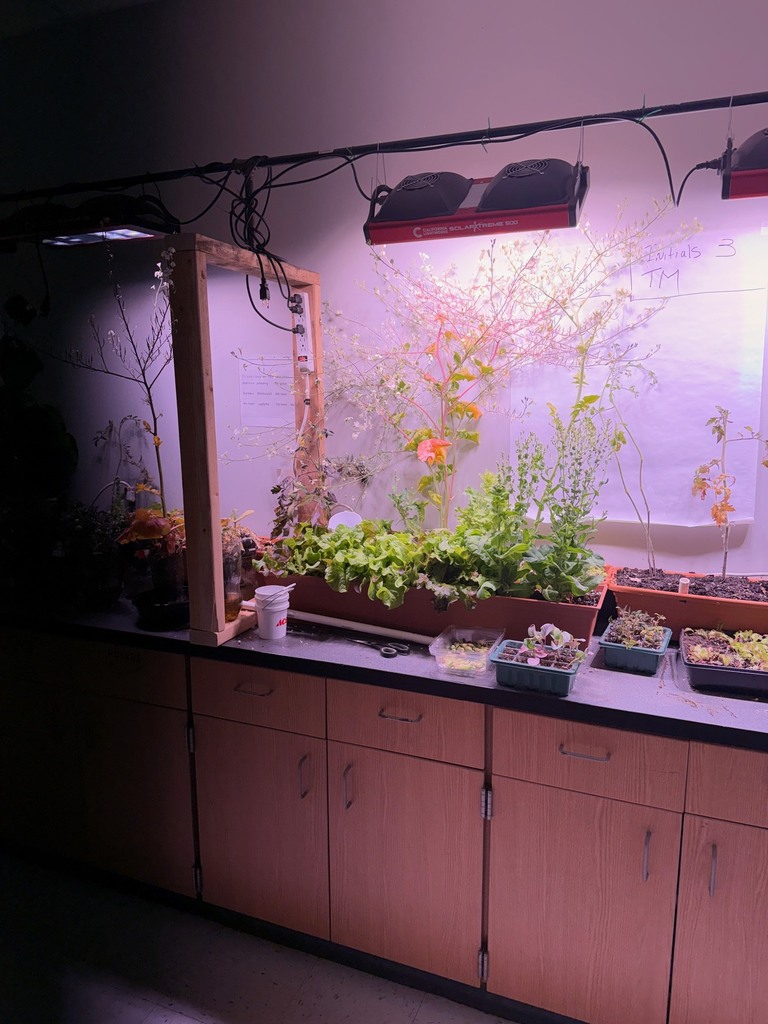 GROWING FOOD IN SCIENCE