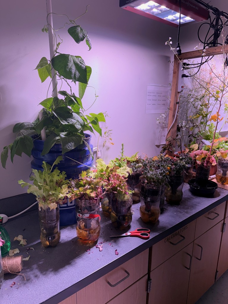 GROWING FOOD IN SCIENCE