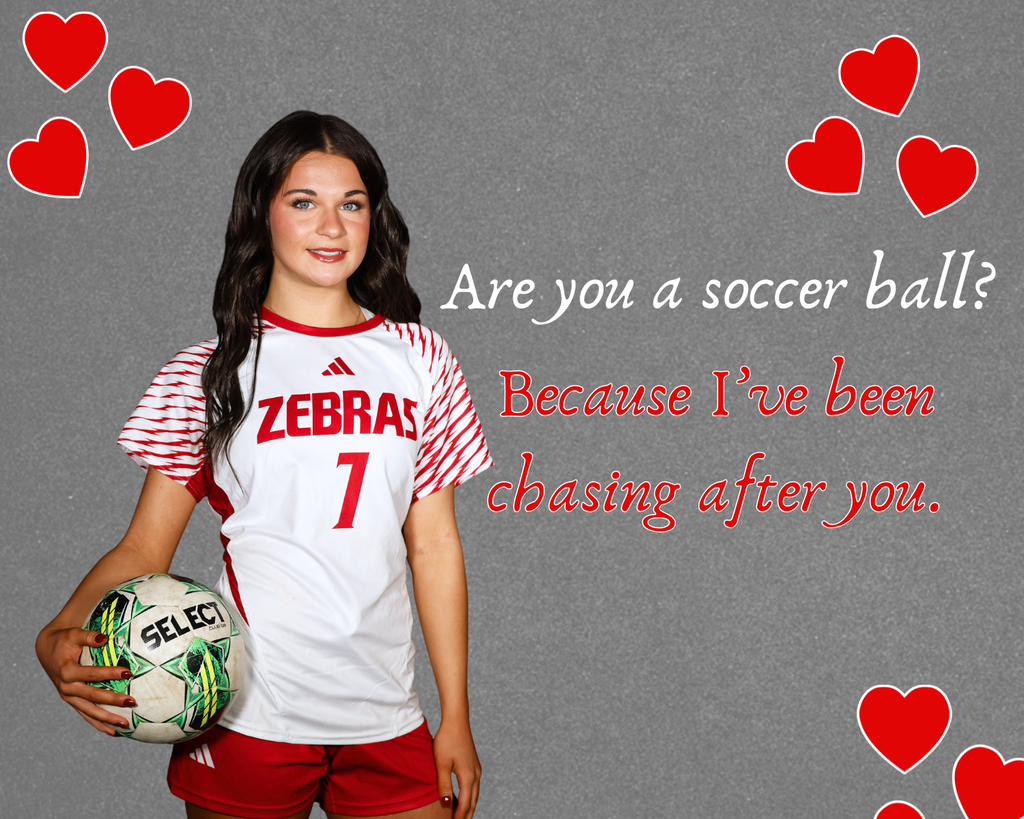 zebra students turned into valentines day cards