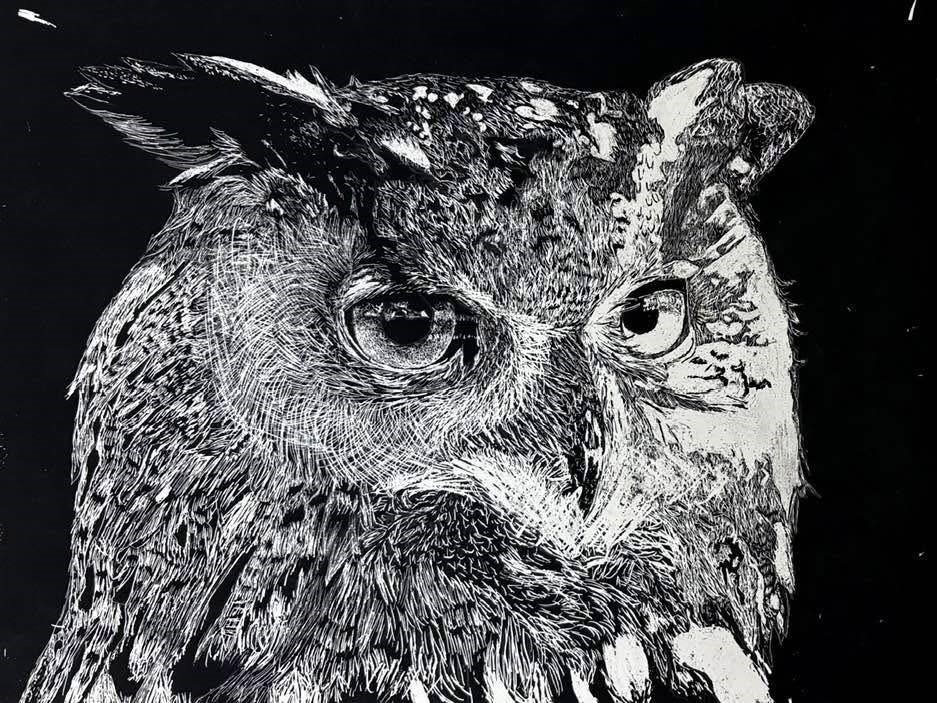 owl scratch art